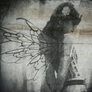 Meet your Posher, Kade